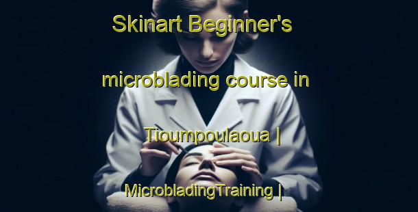 Skinart Beginner's microblading course in Tioumpoulaoua | MicrobladingTraining | MicrobladingClasses | SkinartTraining-Senegal